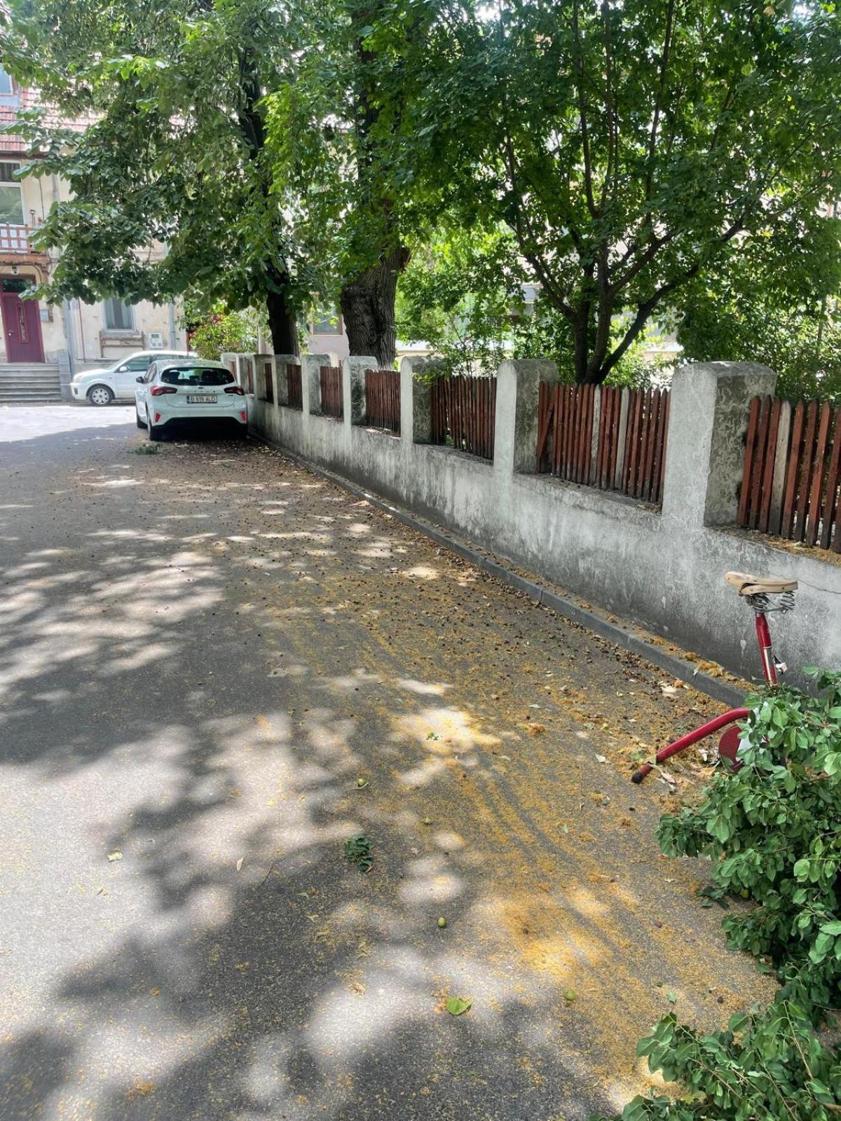 Prime 3 Leilighet Bucureşti Eksteriør bilde